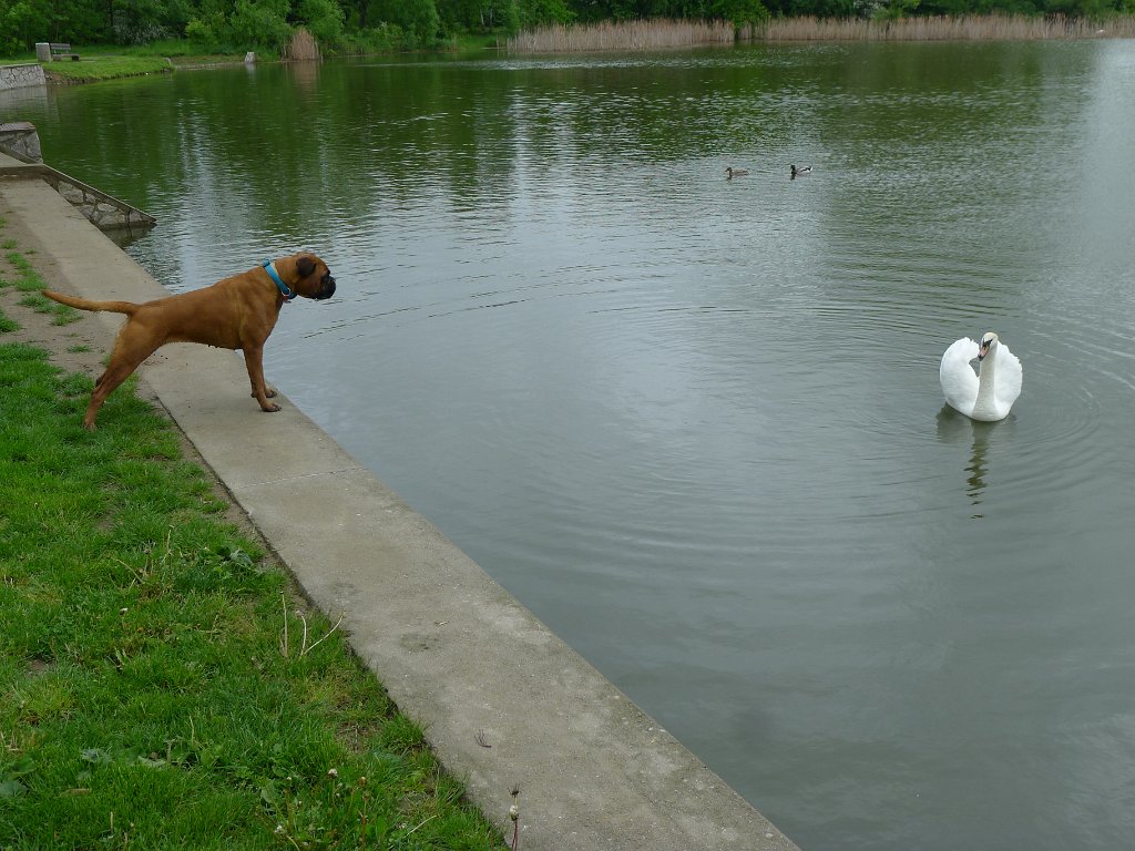 PavlaCzechVisit 039
